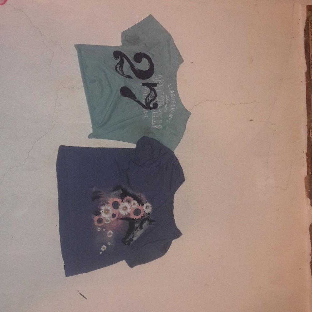 Two crop tops